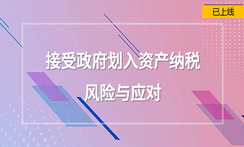 接受政府劃入資產納稅風險與應對