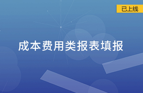 成本費用類報表填報