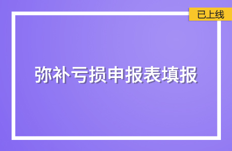 彌補虧損申報表填報