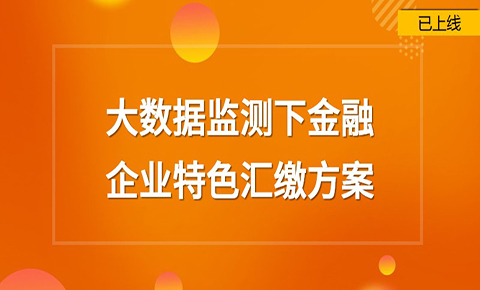 大數據監測下的金融企業特色匯繳方案