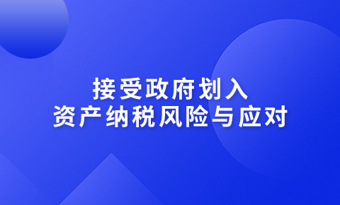 接受政府劃入資產納稅風險與應對