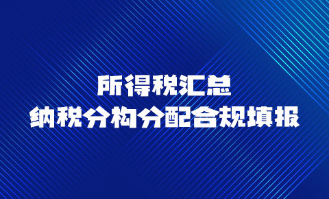 所得稅匯總納稅分構分配合規填報